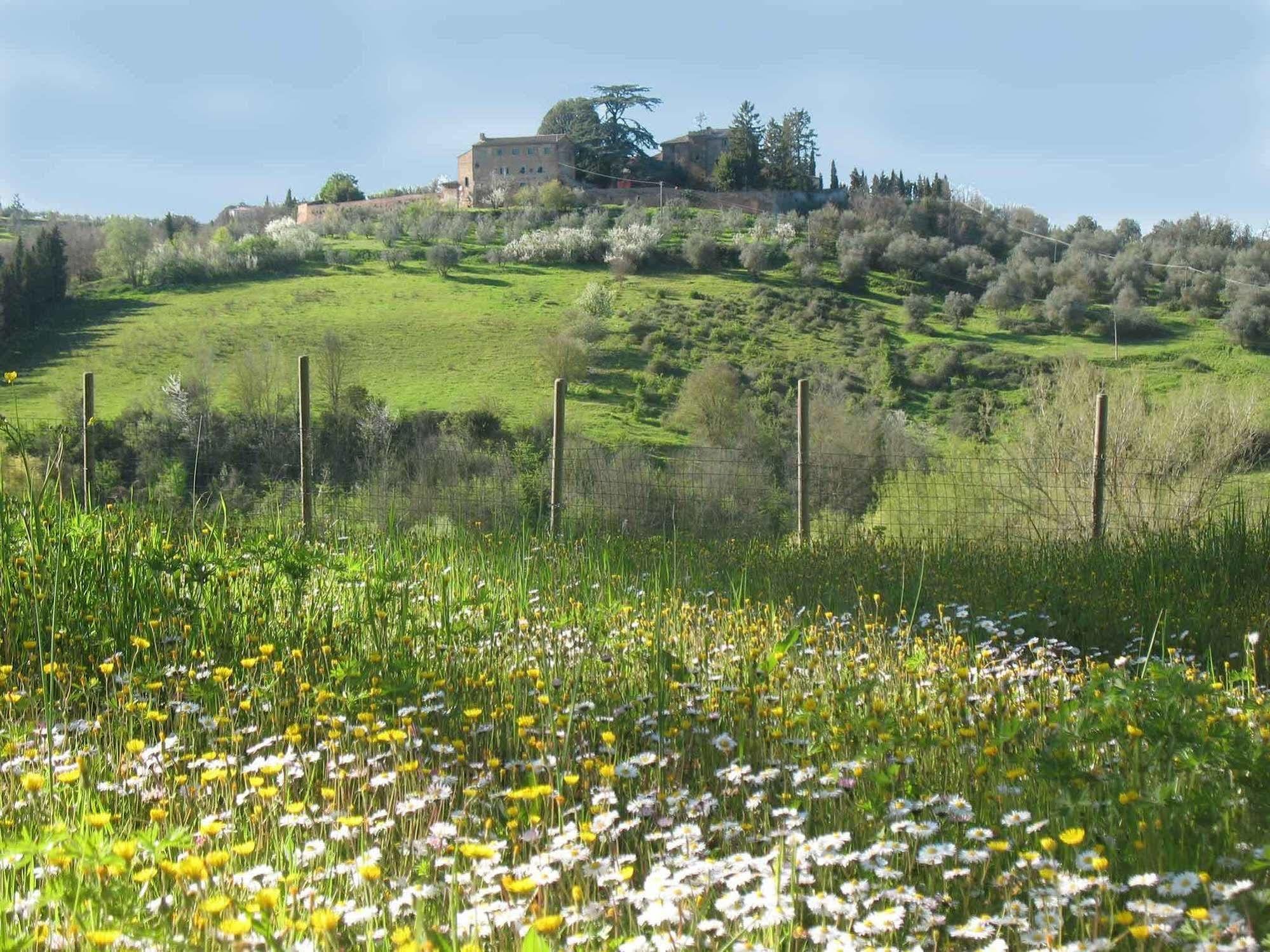 Agriturismo La Torretta Costalpino Exterior foto